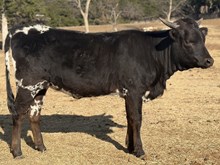 JM Little Less Dramatic