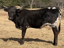 JM Little Less Dramatic